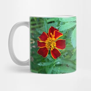 Red and Yellow Marigold Mug